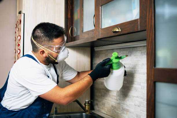 Best Best Pest Control Near Me  in Glenrock, WY