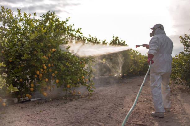 Professional Pest Control in Glenrock, WY