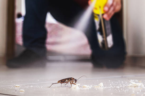 Wildlife Control Services in Glenrock, WY